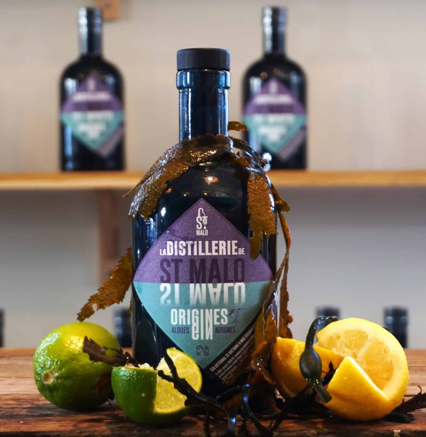 La distillerie de Saint-Malo - Gin - Origines